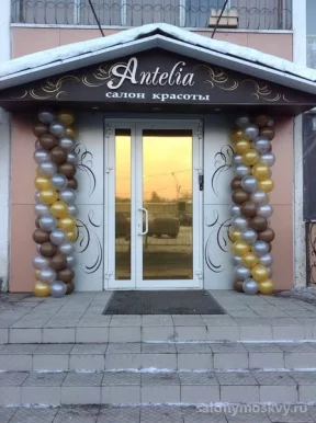 Салон красоты Antelia фото 3